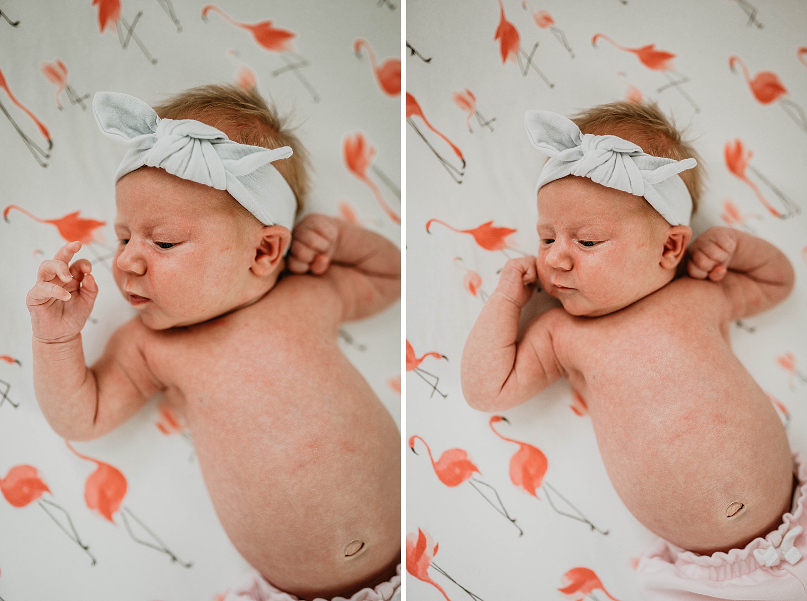In home newborn session captured by South Florida lifestyle photographer, Krystal Capone Photography