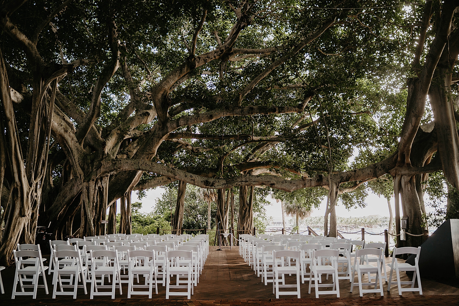 Wedding detail shot of Ceremony area with big banyon tree with white folding chairs Jupiter Lighthouse Wedding Photography captured by South Florida Wedding Photographer Krystal Capone Photography