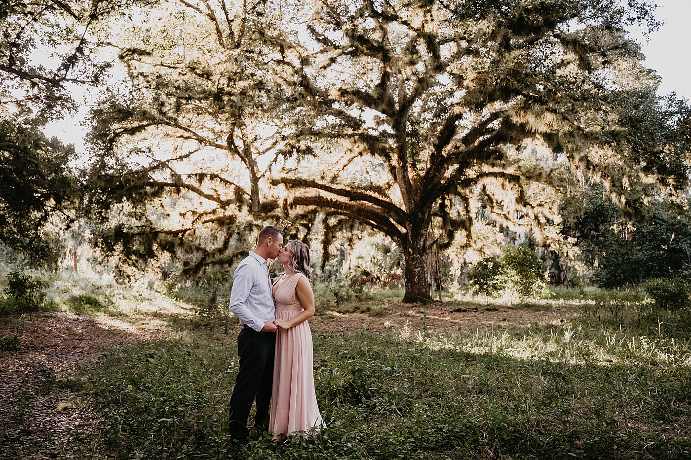 Wideshot of couple kissing each other with a beautiful tree with sunlight beams Riverbend Park Engagement Photography captured by South Florida Engagement Photographer Krystal Capone Photography