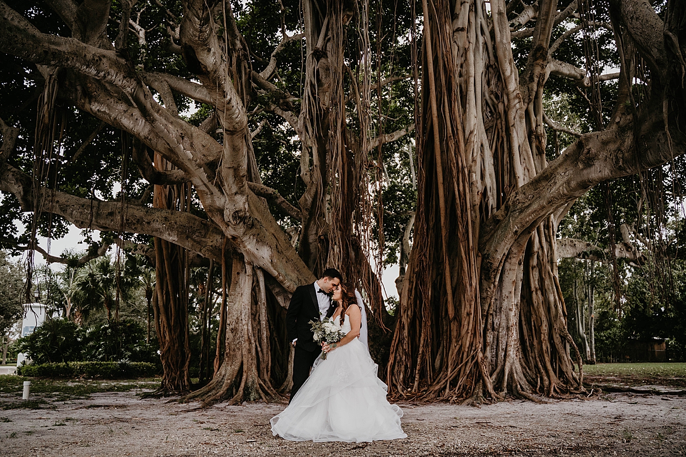 Bride and Groom posed in front of huge Banyon Tree Intimate South Florida Wedding Photography captured by Wedding Photographer Krystal Capone Photography