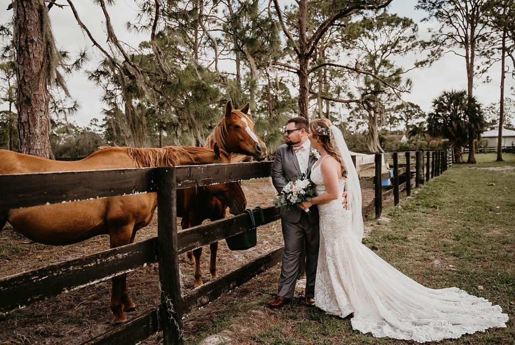 Bride and Groom looking at horses behind the fence Ever After Farms Wedding Photography captured by South Florida Wedding Photographer Krystal Capone Photography 
