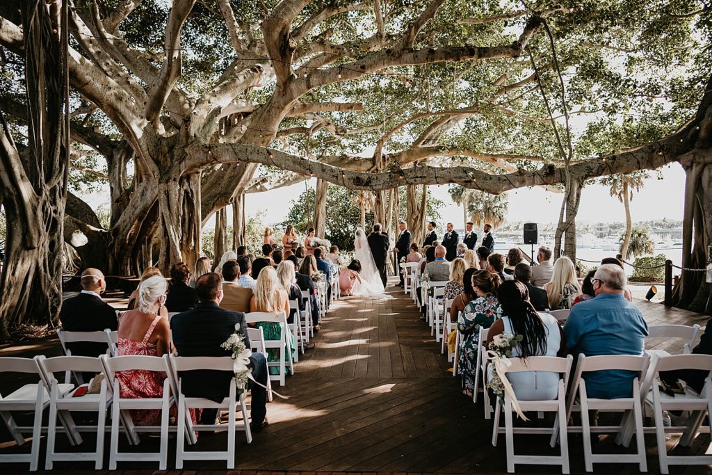 Wide shot of Ceremony with Banyan tree