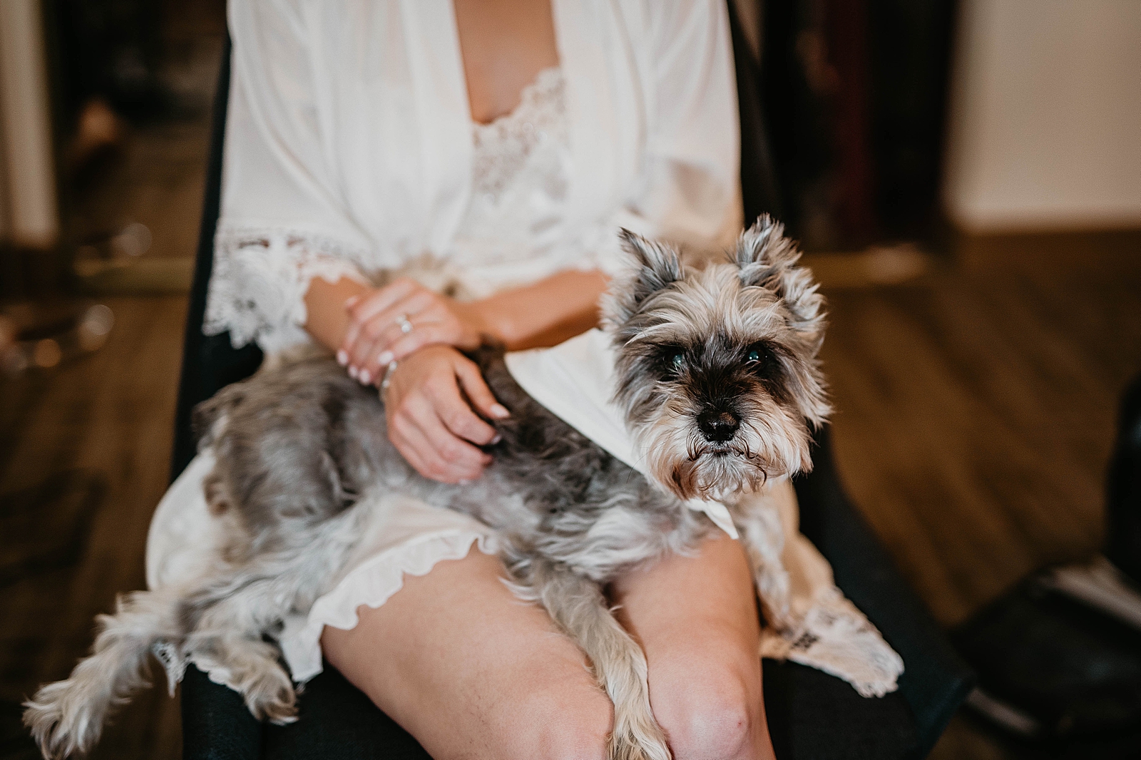 Closeup of dog on Bride's lap 